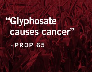 glyphosate and birth defects
