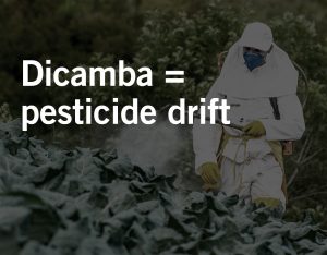 pesticide drift