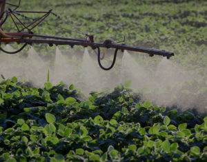 toxic herbicide