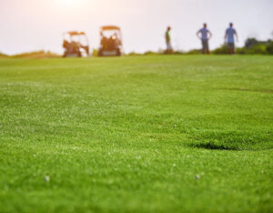 Pesticides and Golf Courses